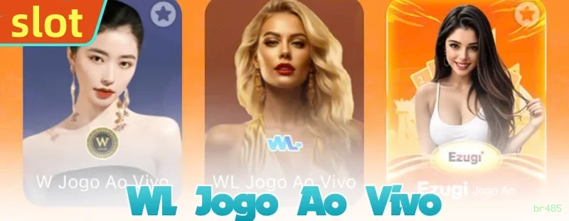 Programa VIP br485